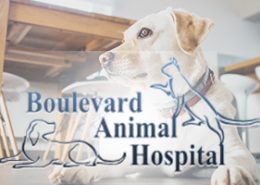 Boulevard Animal Hospital