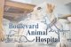 Boulevard Animal Hospital